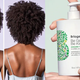 Image for article titled Just a Couple of Black-Owned Products and Businesses You Should Know About